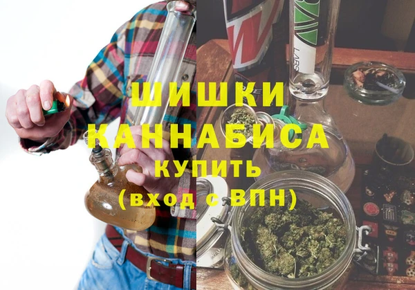 прущие грибы Великий Новгород