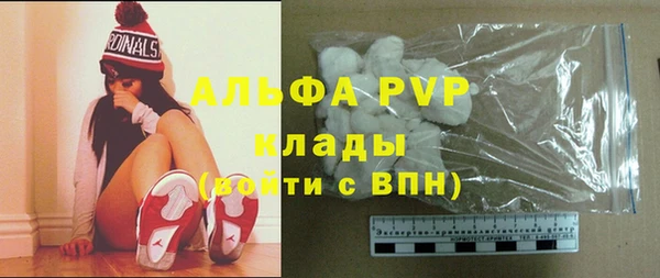 прущие грибы Великий Новгород