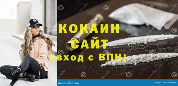 прущие грибы Великий Новгород