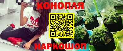 apvp Гусев