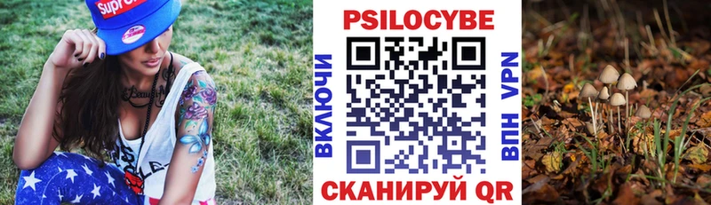 где найти   Новомосковск  Псилоцибиновые грибы прущие грибы 
