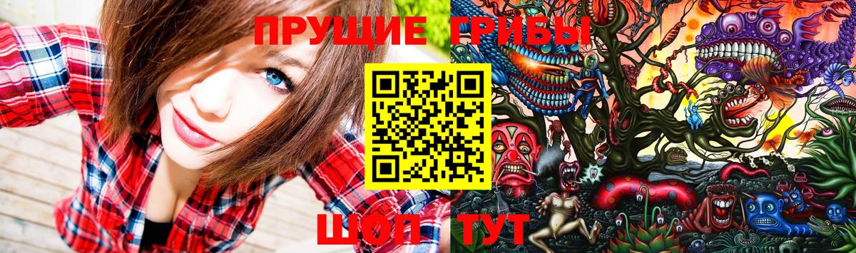 Галлюциногенные грибы GOLDEN TEACHER Новомосковск
